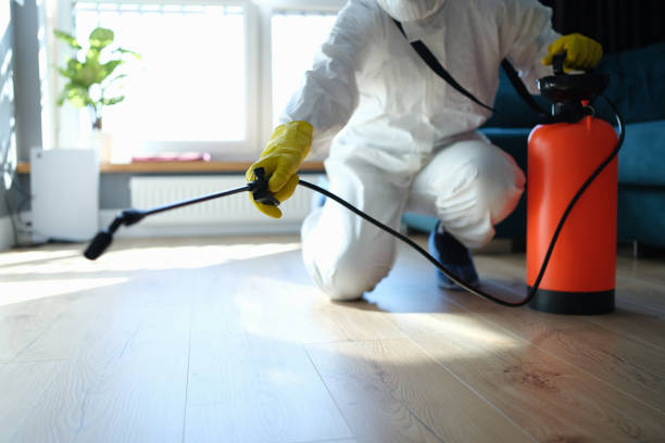 Reliable Infectious Disease Decontamination contractor in Lebec, CA by Trauma Clean Pros